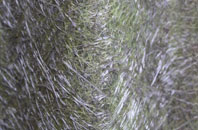 Bemerton fibreglass roof work